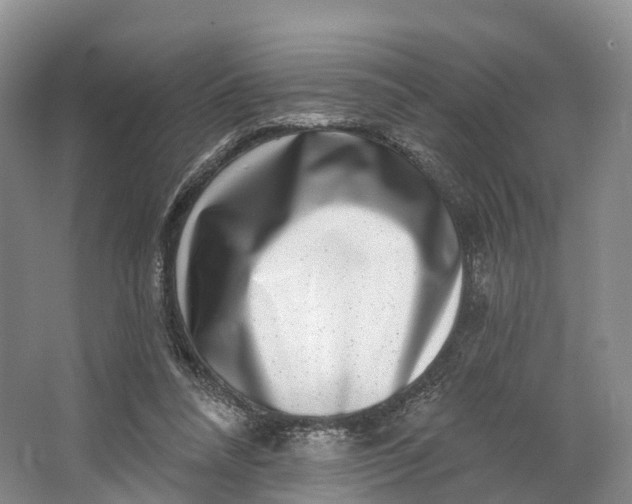 X0000064720304200602241650