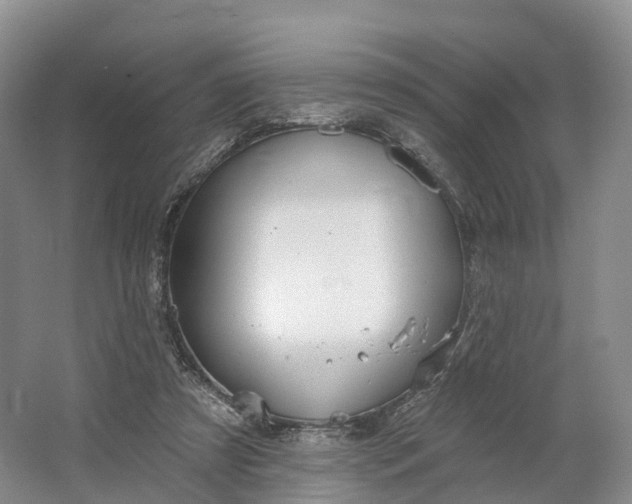 X0000064720305200602241650