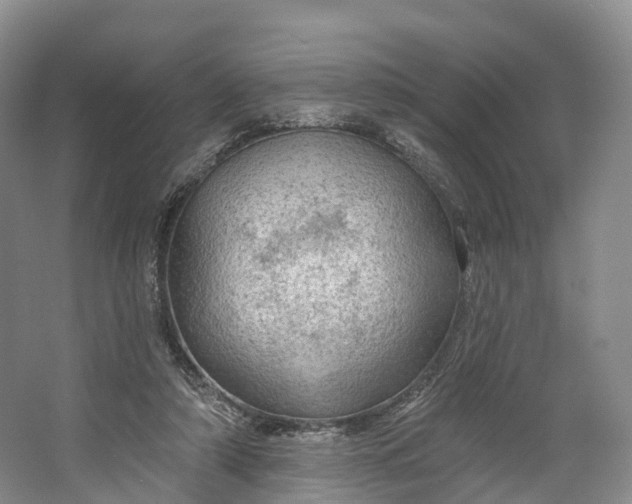 X0000064720306200602241650