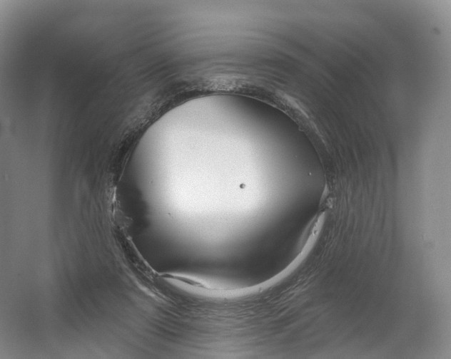 X0000064720307200602241650