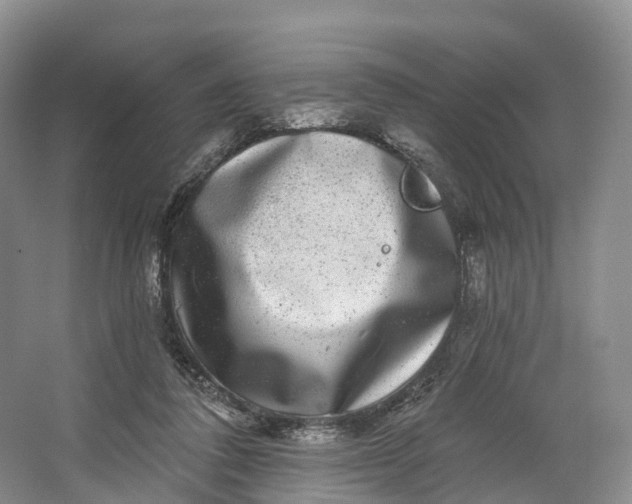 X0000064720308200602241650