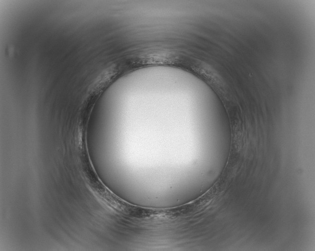 X0000064720310200602241650