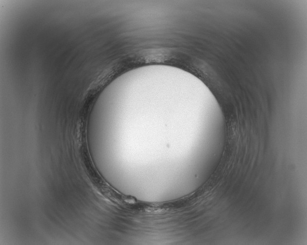 X0000064720311200602241650