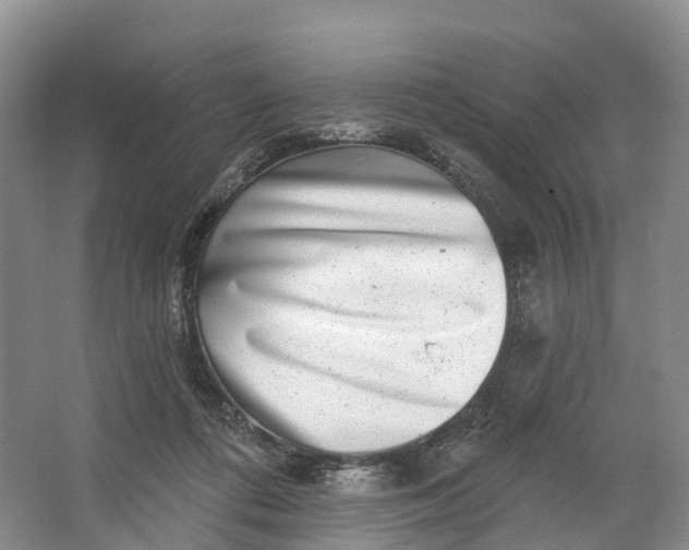 X0000064720312200602241649