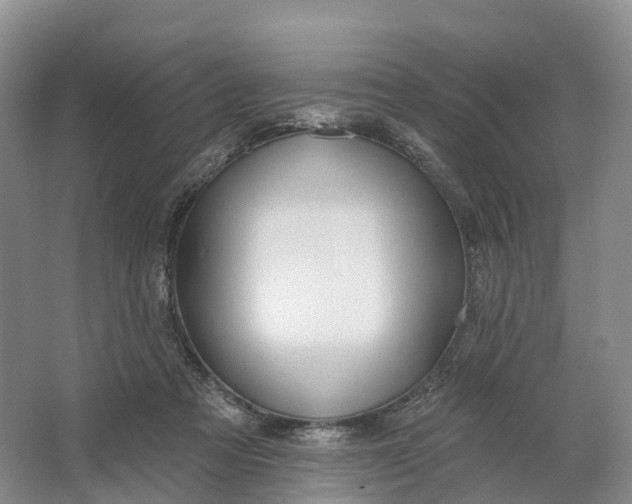 X0000064720313200602241649