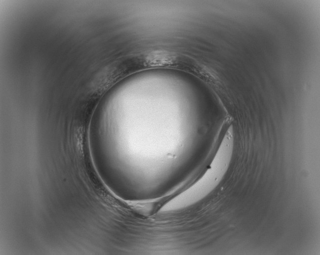 X0000064720315200602241649