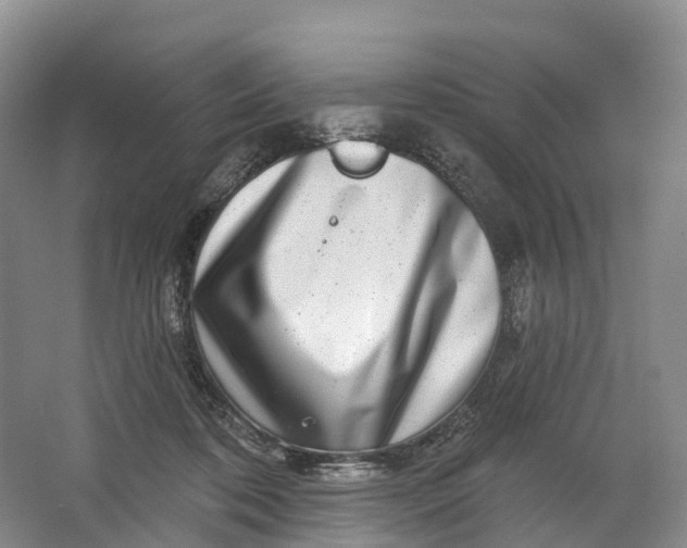X0000064720316200602241649