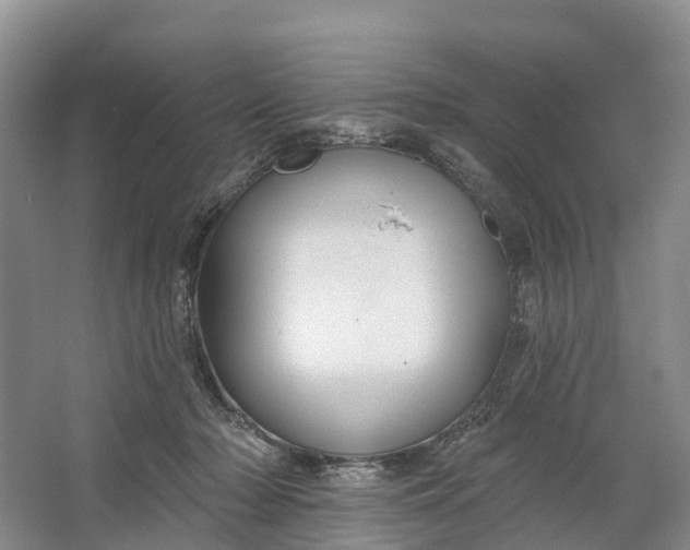 X0000064720318200602241649