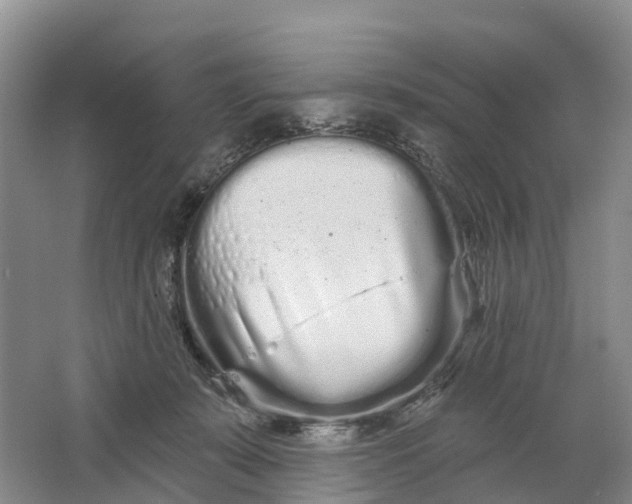 X0000064720319200602241649