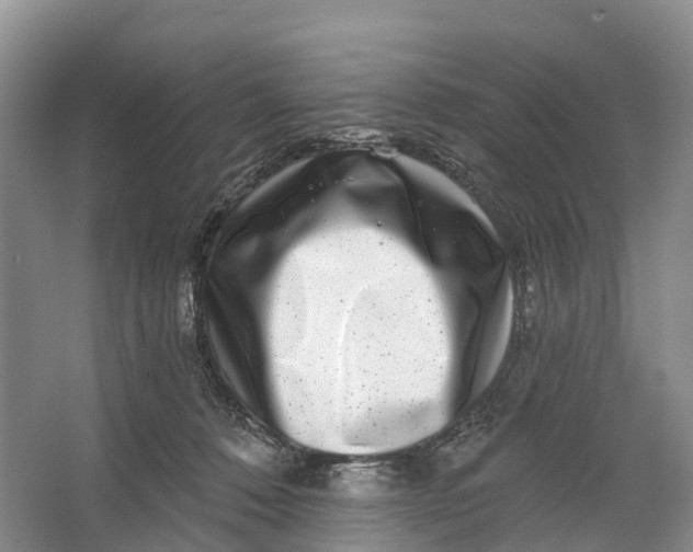 X0000064720320200602241649