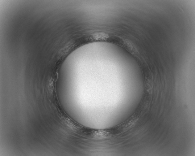 X0000064720321200602241649