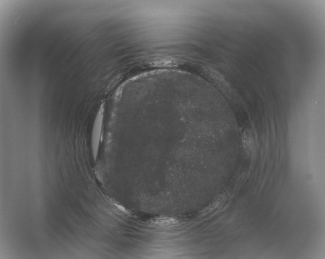 X0000064720322200602241649