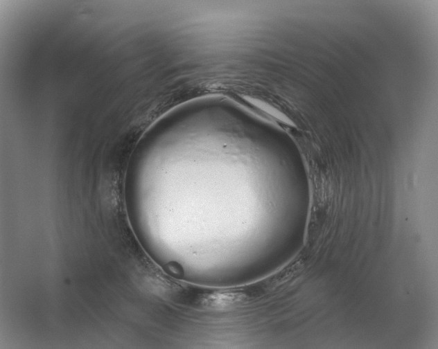 X0000064720323200602241649