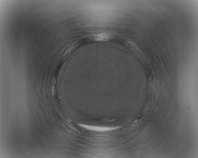 X0000064720325200602241649