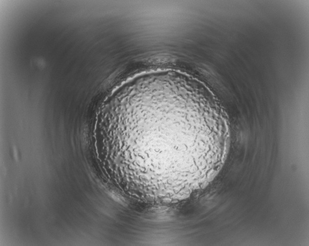 X0000064720326200602241649