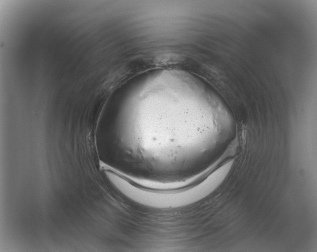 X0000064720327200602241649