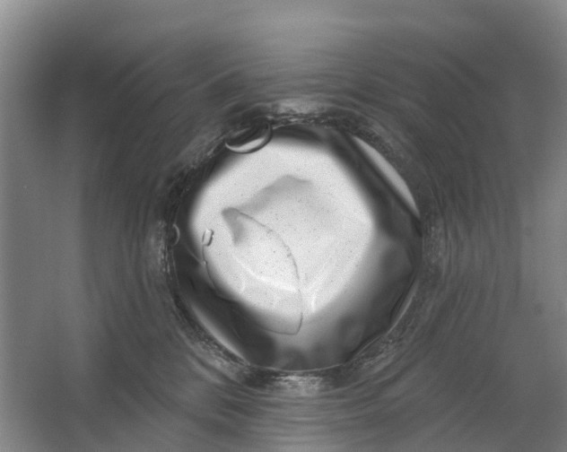 X0000064720328200602241649