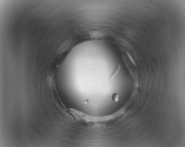 X0000064720329200602241649