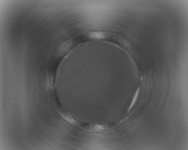 X0000064720330200602241649