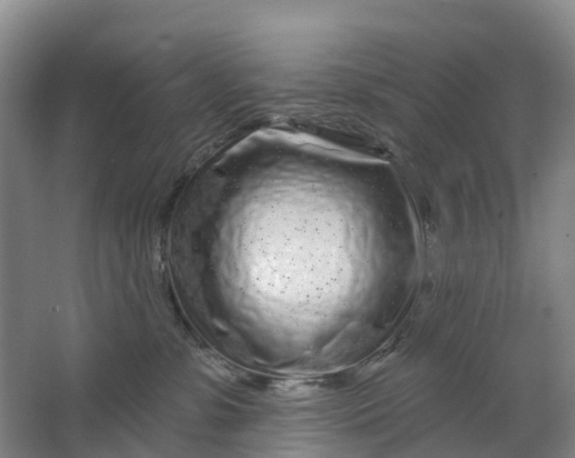 X0000064720331200602241649