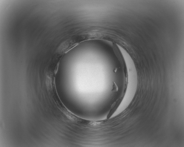 X0000064720333200602241649