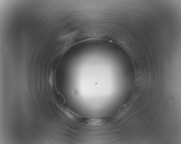 X0000064720334200602241649