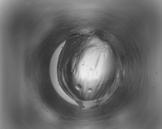 X0000064720335200602241649