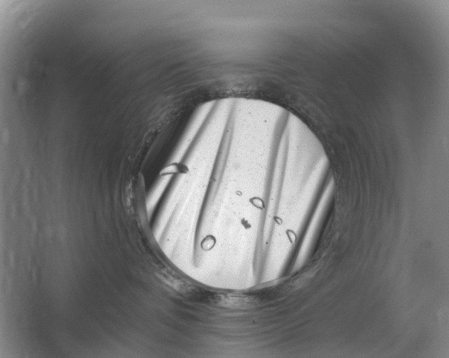 X0000064720336200602241649