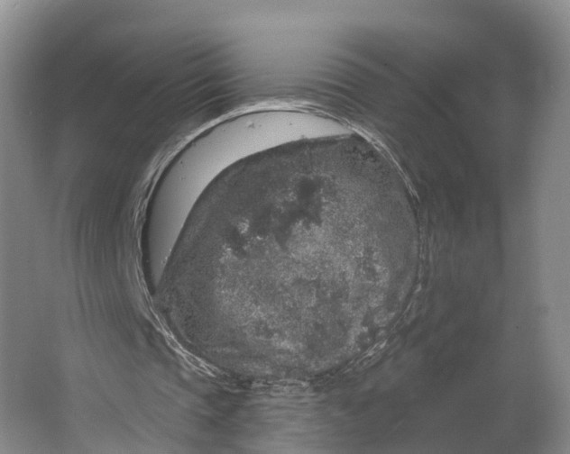 X0000064720337200602241648