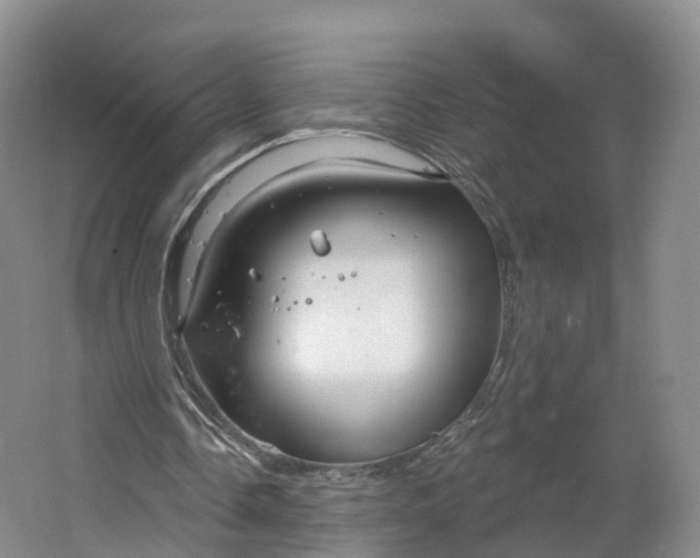 X0000064720338200602241648