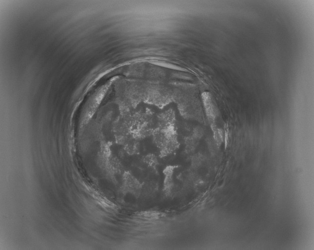 X0000064720339200602241648