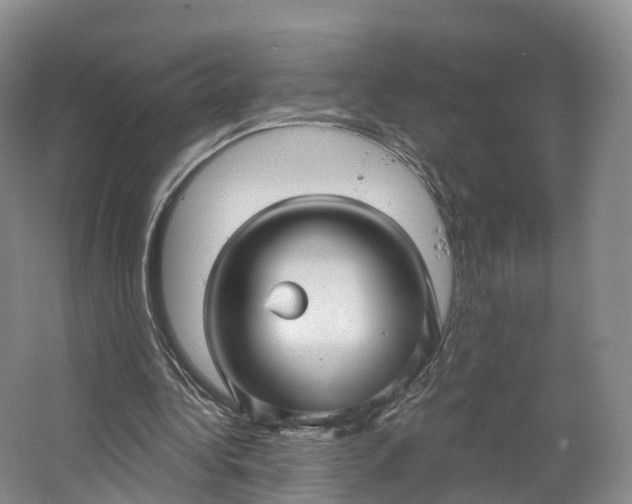 X0000064720340200602241648