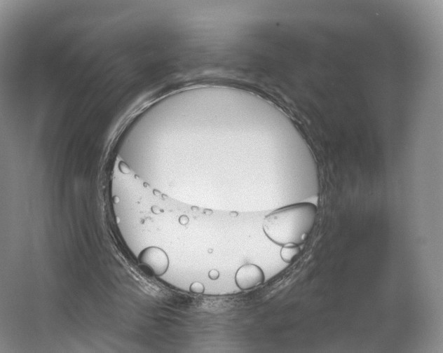 X0000064720341200602241648