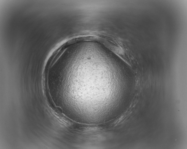 X0000064720342200602241648