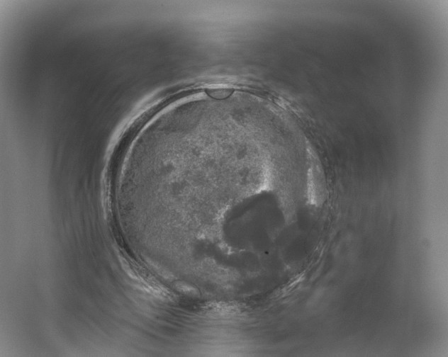 X0000064720343200602241648