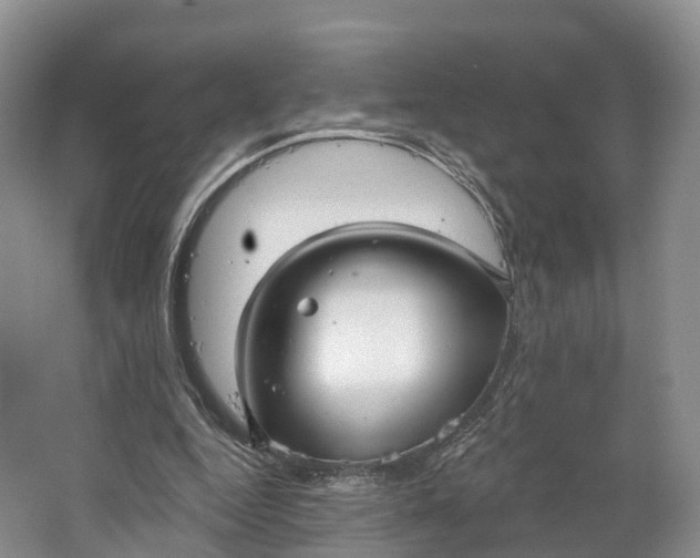 X0000064720344200602241648