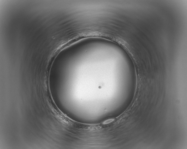 X0000064720345200602241648