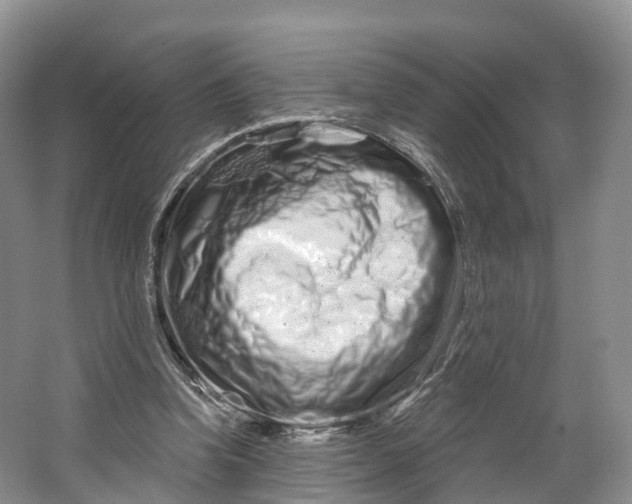 X0000064720346200602241648