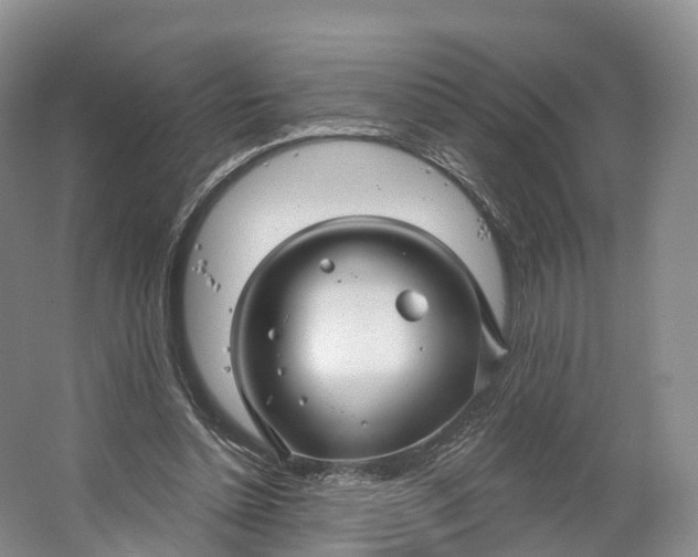 X0000064720348200602241648