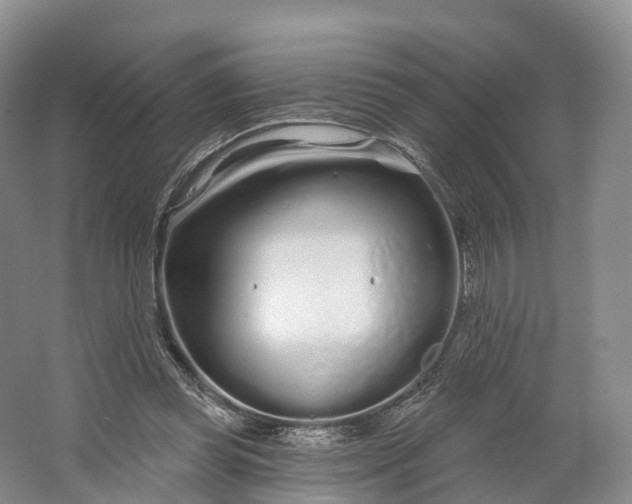 X0000064720349200602241648