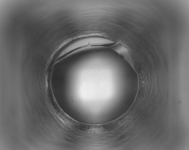 X0000064720350200602241648