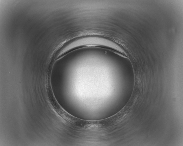 X0000064720352200602241648