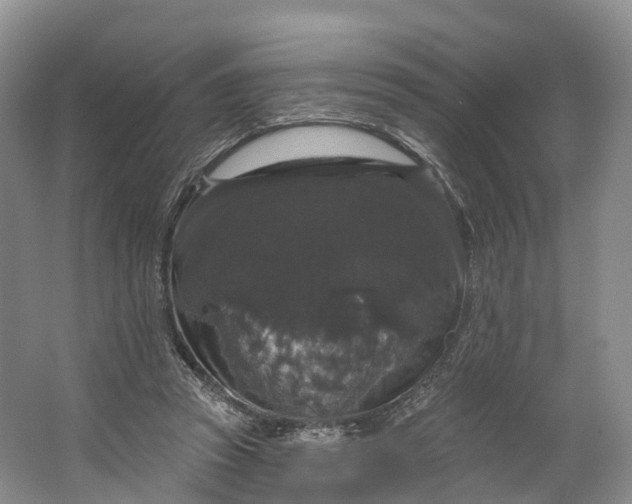 X0000064720353200602241648