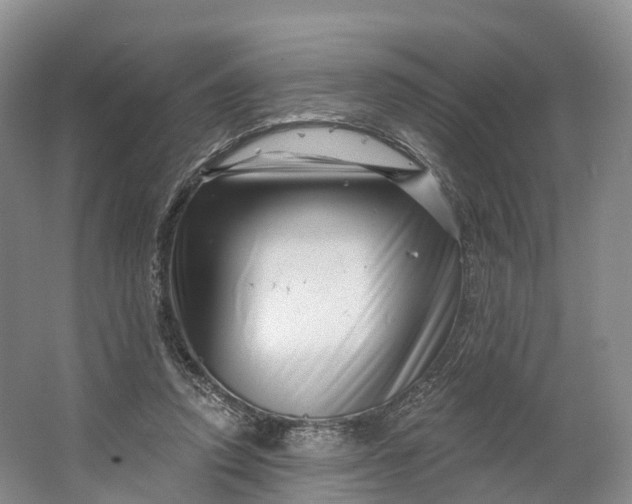 X0000064720354200602241648