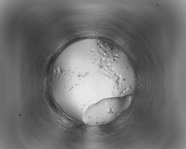 X0000064720355200602241648