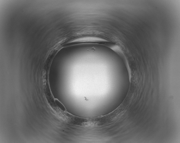 X0000064720356200602241648