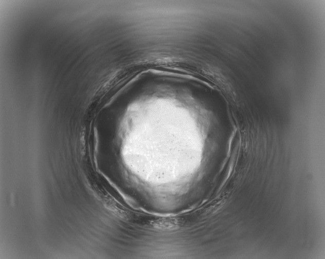 X0000064720358200602241648