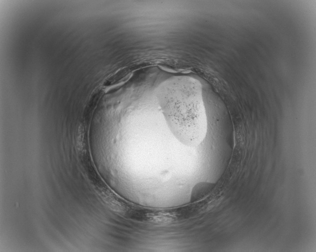 X0000064720359200602241648