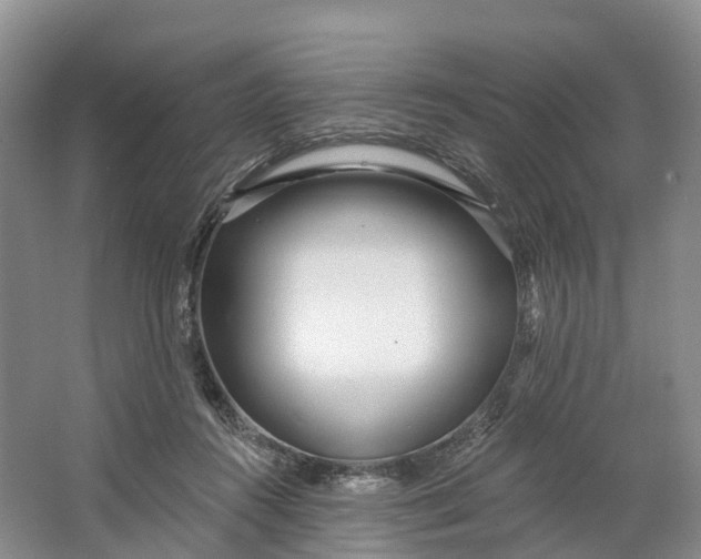 X0000064720360200602241648