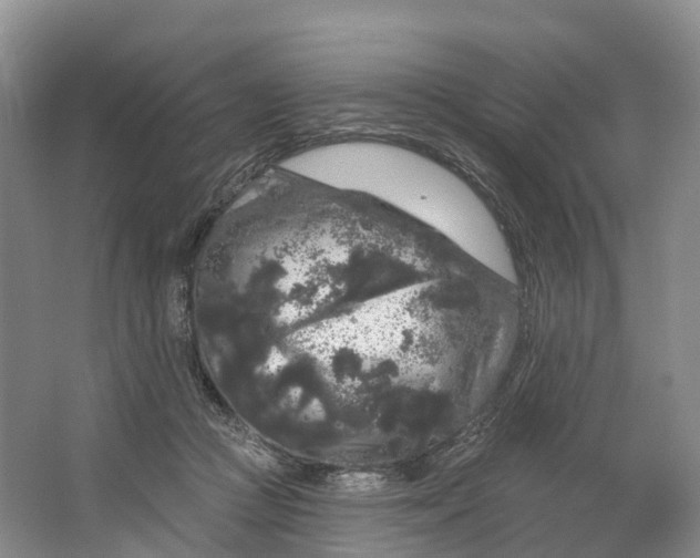 X0000064720361200602241648